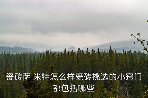 瓷磚薩 米特怎么樣瓷磚挑選的小竅門(mén)都包括哪些