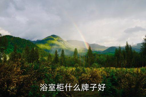 浴室柜什么牌子好
