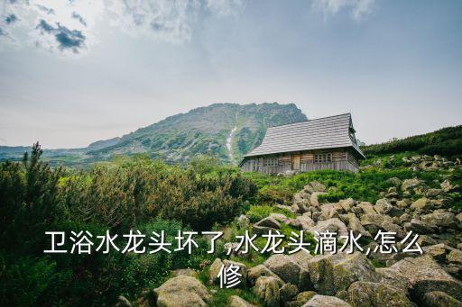 衛(wèi)浴把手圖紙大全圖解圖片