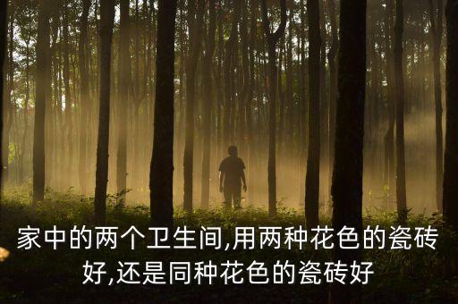 衛(wèi)浴地板墻面效果圖片