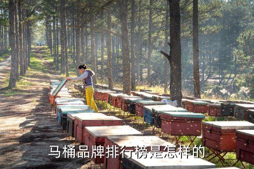 馬桶品牌排行榜是怎樣的