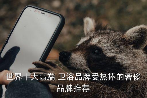 世界十大高端 衛(wèi)浴品牌受熱捧的奢侈品牌推薦