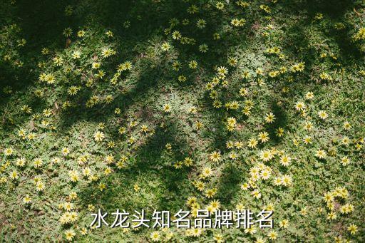 水龍頭知名品牌排名
