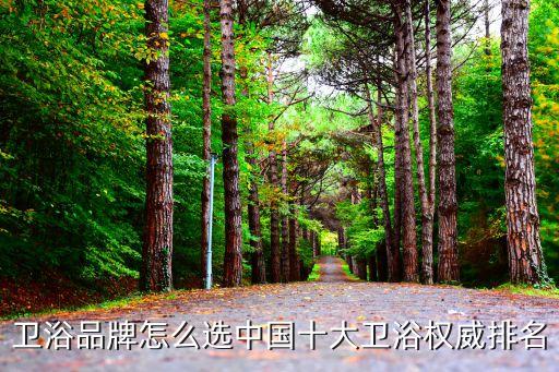 新泰衛(wèi)浴公司簡介電話,衛(wèi)達(dá)斯衛(wèi)浴公司簡介