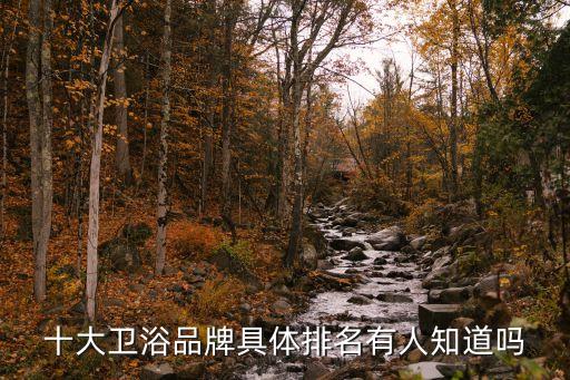 十大衛(wèi)浴品牌具體排名有人知道嗎
