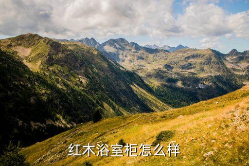 紅木浴室柜怎么樣