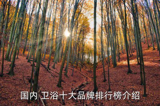 國(guó)內(nèi) 衛(wèi)浴十大品牌排行榜介紹