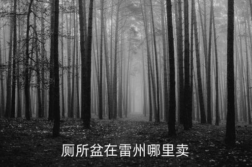 廁所盆在雷州哪里賣(mài)
