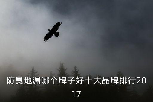 防臭地漏哪個牌子好十大品牌排行2017