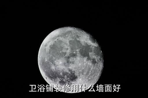  衛(wèi)浴鋪裝修用什么墻面好