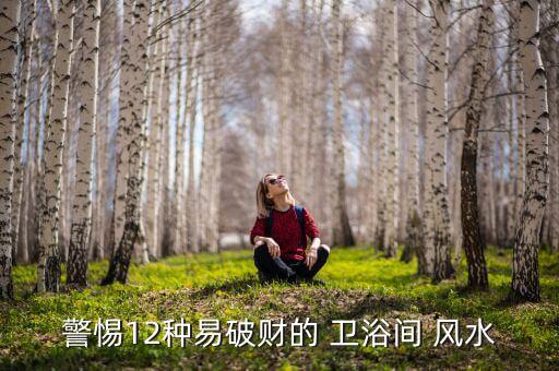 農(nóng)村衛(wèi)浴風(fēng)水講究圖片欣賞