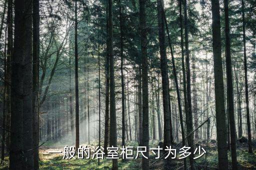 一般的浴室柜尺寸為多少