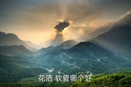 衛(wèi)浴軟管那個(gè)品牌好
