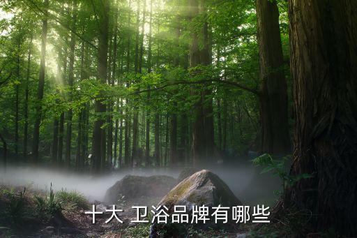 十大 衛(wèi)浴品牌有哪些