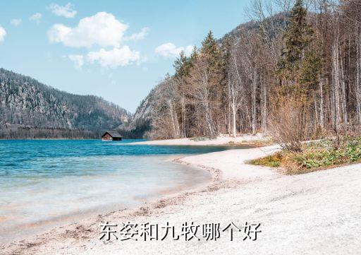 東姿和九牧哪個(gè)好