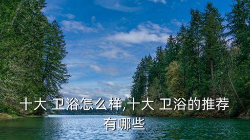 品牌衛(wèi)浴哪種的最好用,衛(wèi)浴品牌排行前十