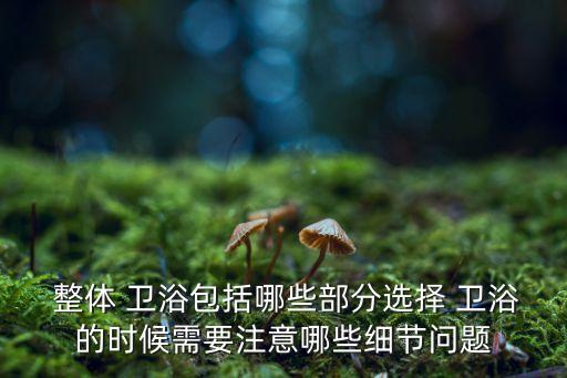 整體衛(wèi)浴瓷磚裝修文案圖片