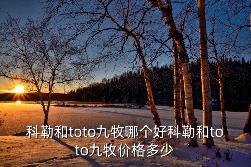科勒和toto九牧哪個好科勒和toto九牧價格多少