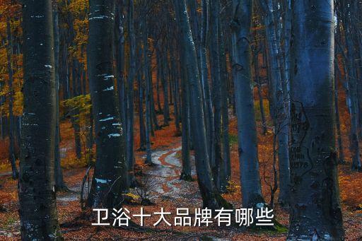  衛(wèi)浴十大品牌有哪些