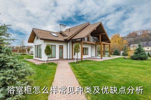 衛(wèi)浴柜無吊柜圖片高清