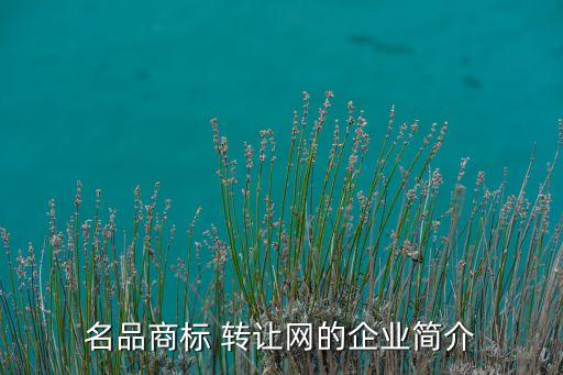 名品商標(biāo) 轉(zhuǎn)讓網(wǎng)的企業(yè)簡介