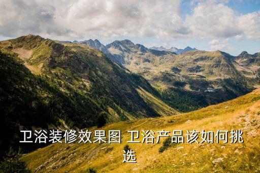 衛(wèi)浴建材類圖片大全,衛(wèi)浴屬于建材類嗎