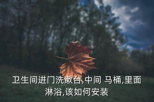 衛(wèi)生間進門洗漱臺,中間 馬桶,里面淋浴,該如何安裝