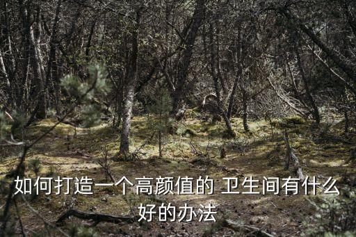 如何打造一個高顏值的 衛(wèi)生間有什么好的辦法