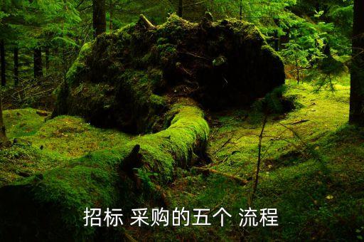 衛(wèi)浴網(wǎng)絡采購流程圖片高清