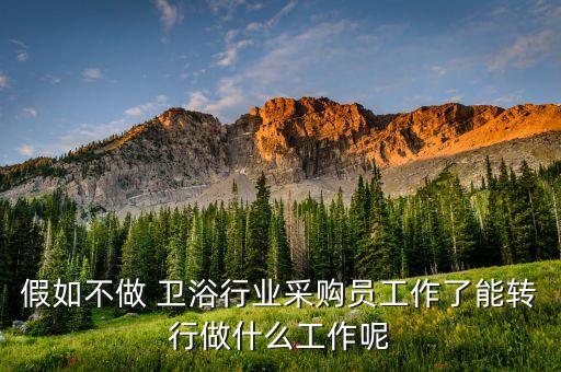 假如不做 衛(wèi)浴行業(yè)采購(gòu)員工作了能轉(zhuǎn)行做什么工作呢