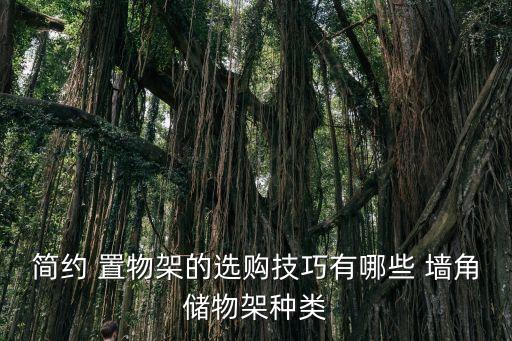 簡(jiǎn)約 置物架的選購(gòu)技巧有哪些 墻角儲(chǔ)物架種類