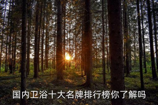 國內(nèi)衛(wèi)浴十大名牌排行榜你了解嗎