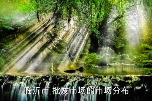  臨沂市 批發(fā)市場(chǎng)的市場(chǎng)分布
