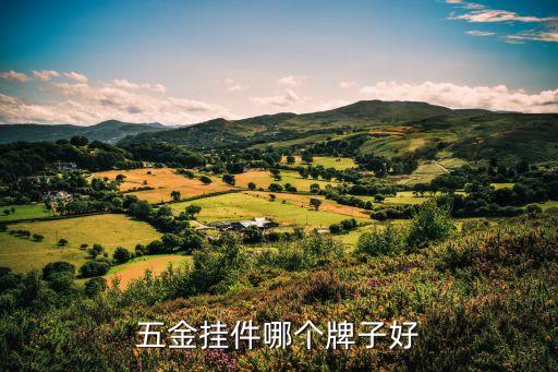 五金掛件哪個牌子好