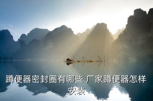 蹲便器密封圈有哪些 廠家蹲便器怎樣安裝
