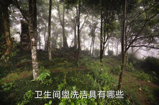 衛(wèi)生間盥洗潔具有哪些