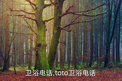 銘榮衛(wèi)浴電話,toto衛(wèi)浴電話