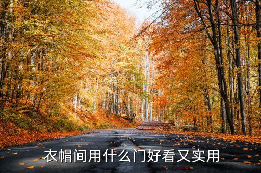  衣帽間用什么門好看又實(shí)用