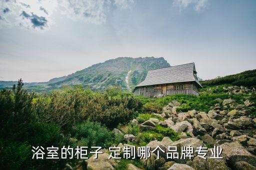 全屋定制別墅衛(wèi)浴圖片欣賞