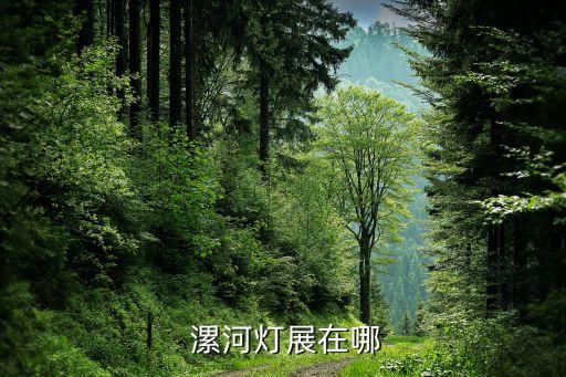  漯河燈展在哪