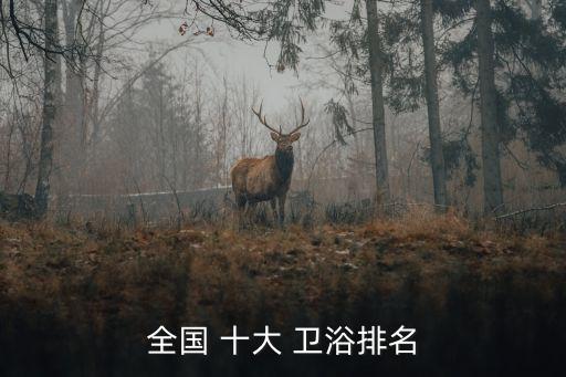 中國十大品牌衛(wèi)浴,衛(wèi)浴排名前十的品牌有哪些