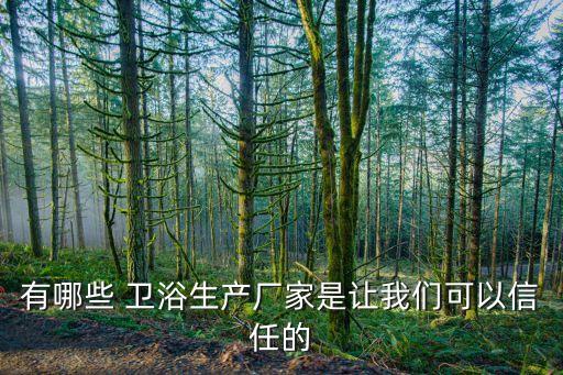 有哪些 衛(wèi)浴生產(chǎn)廠家是讓我們可以信任的