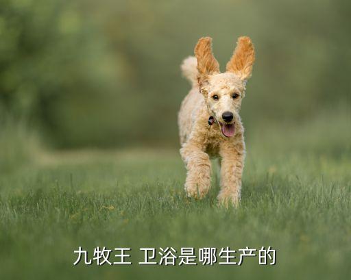 衛(wèi)浴原廠地址在哪里啊,高明衛(wèi)浴廠在哪里?