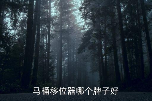 馬桶移位器哪個(gè)牌子好