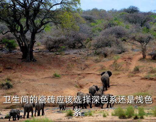 衛(wèi)生間的瓷磚應(yīng)該選擇深色系還是淺色系