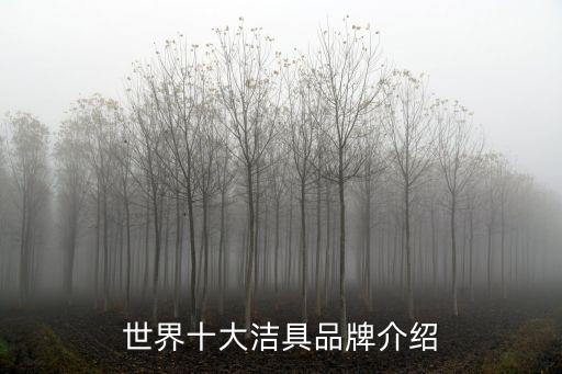 俄羅斯品牌衛(wèi)浴排名前十,衛(wèi)浴排名前十的品牌有哪些 知乎