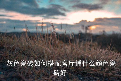 灰色衛(wèi)浴地磚圖片大全大圖,樓房灰色地磚效果圖片大全