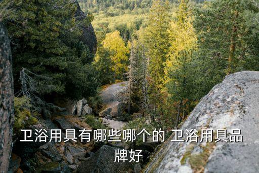  衛(wèi)浴用具有哪些哪個的 衛(wèi)浴用具品牌好