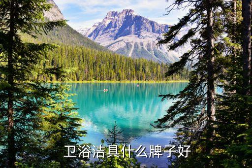  衛(wèi)浴潔具什么牌子好