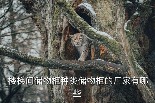樓梯衛(wèi)浴收納柜圖片效果圖,樓梯下面收納柜圖片
